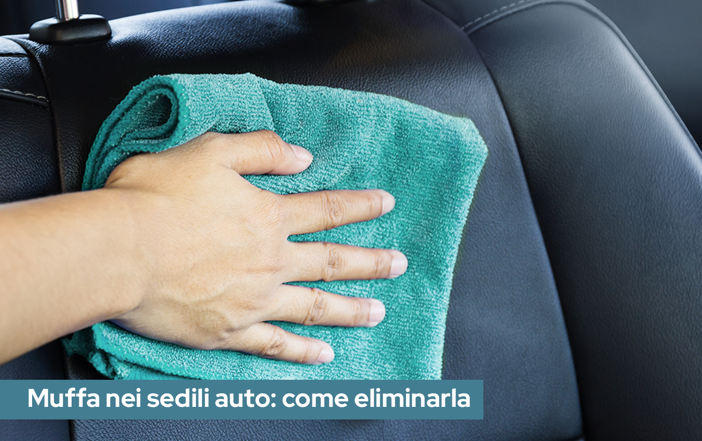 Come gestire la muffa dai sedili dell’auto in modo efficace